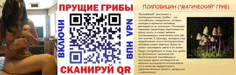 где купить наркоту  Кашира  Псилоцибиновые грибы Psilocybine cubensis 