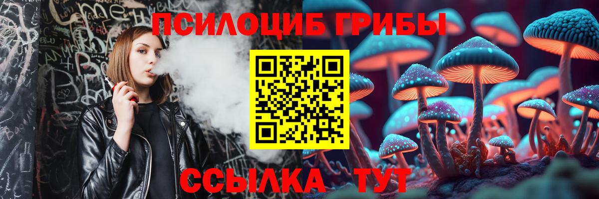 Галлюциногенные грибы GOLDEN TEACHER  где купить наркотик  Кашира  Вход с VPN 