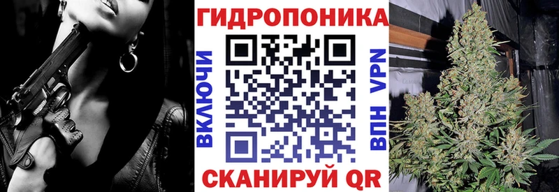 darknet официальный сайт  Кашира  Шишки марихуана ГИДРОПОН 